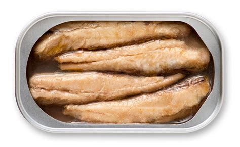 Skinless Boneless Sardines in Water .